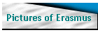 Pictures of Erasmus
